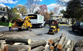 Best Tree Health Inspection  in Lake Ozark, MO