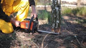Soil Testing and Treatment in Lake Ozark, MO
