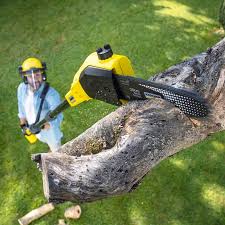 Best Firewood Processing and Delivery  in Lake Ozark, MO