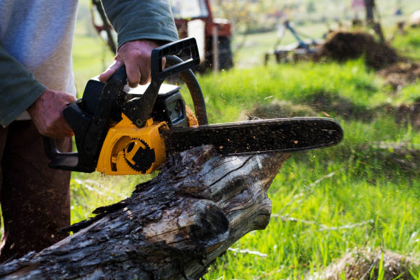 Best Lawn Maintenance Plans  in Lake Ozark, MO
